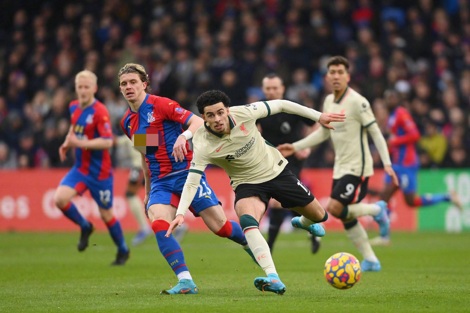 它是整个中 它是整个中